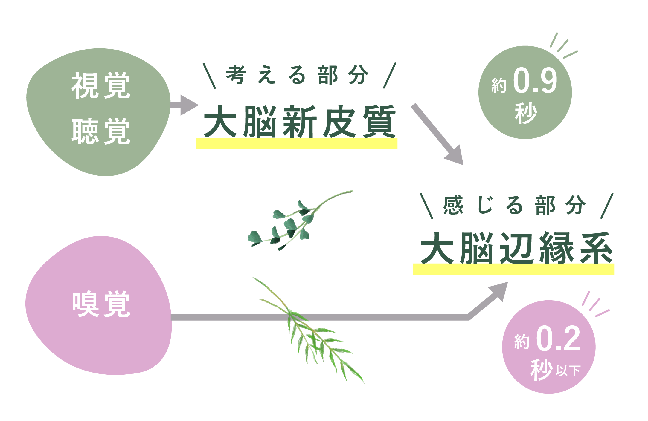 お悩み改善／アロマテラピーで心と身体のケアを｜生活雑貨のma faveur