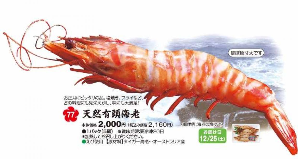 おせち21 天然有頭海老 ショクブンネットショップ おせち21 天然有頭海老 ショクブンネットショップ